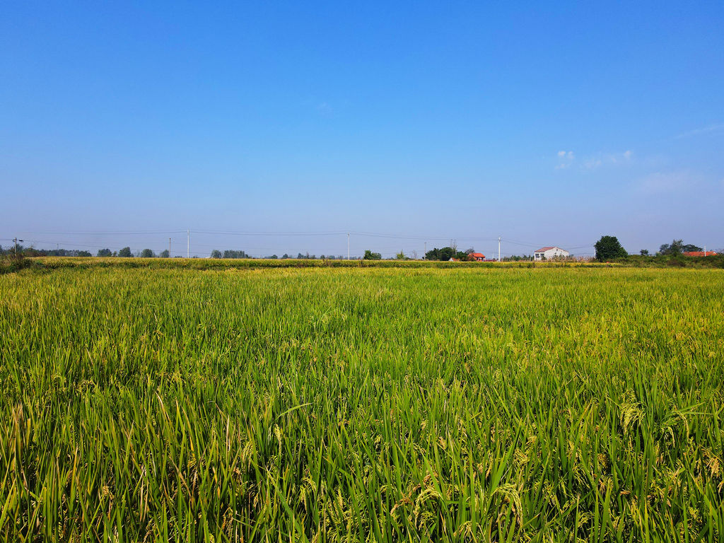 304am�������Ź���(�й�)���޹�˾-Official Website