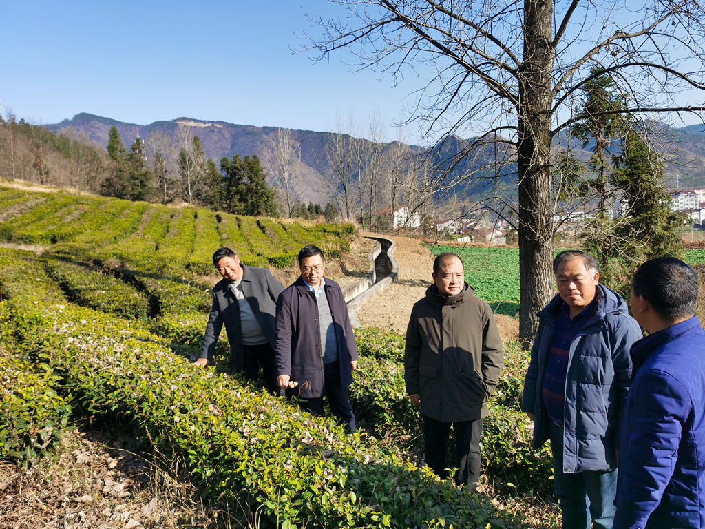 304am�������Ź���(�й�)���޹�˾-Official Website