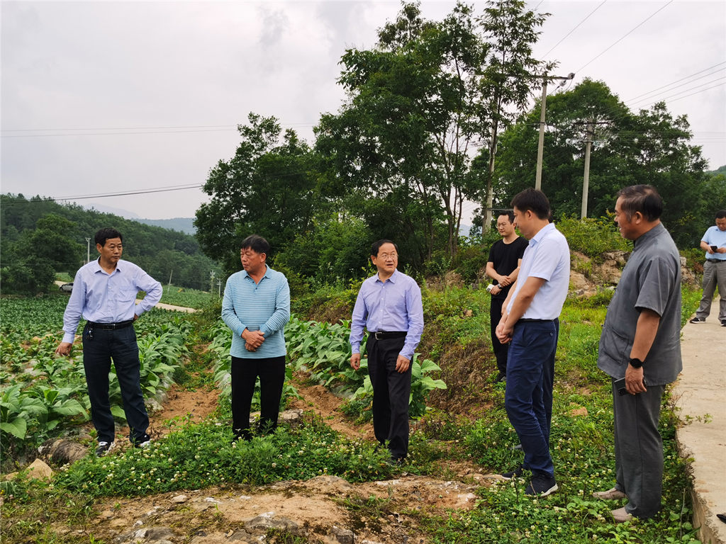 304am�������Ź���(�й�)���޹�˾-Official Website