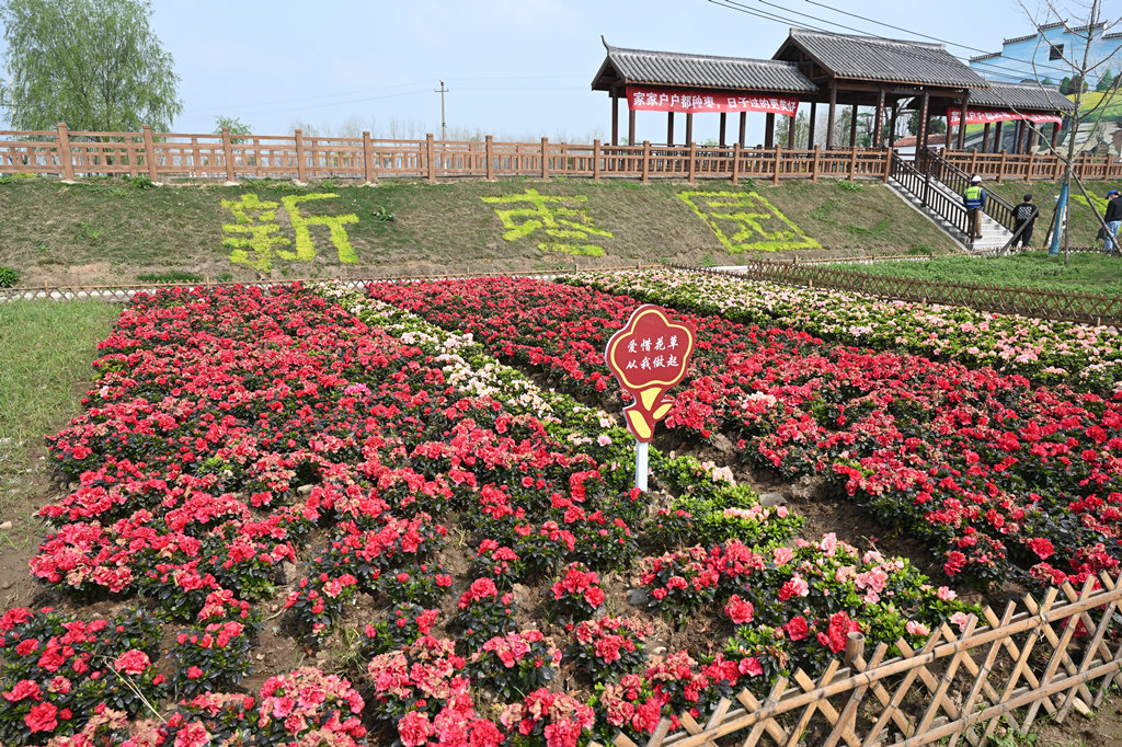 304am�������Ź���(�й�)���޹�˾-Official Website