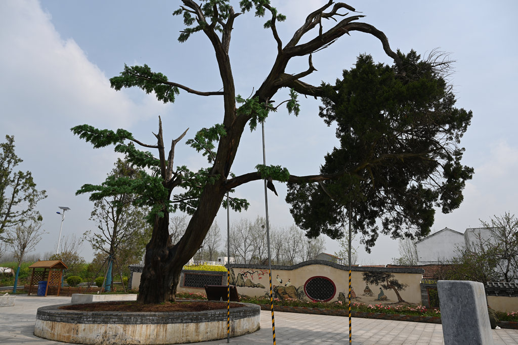 304am�������Ź���(�й�)���޹�˾-Official Website