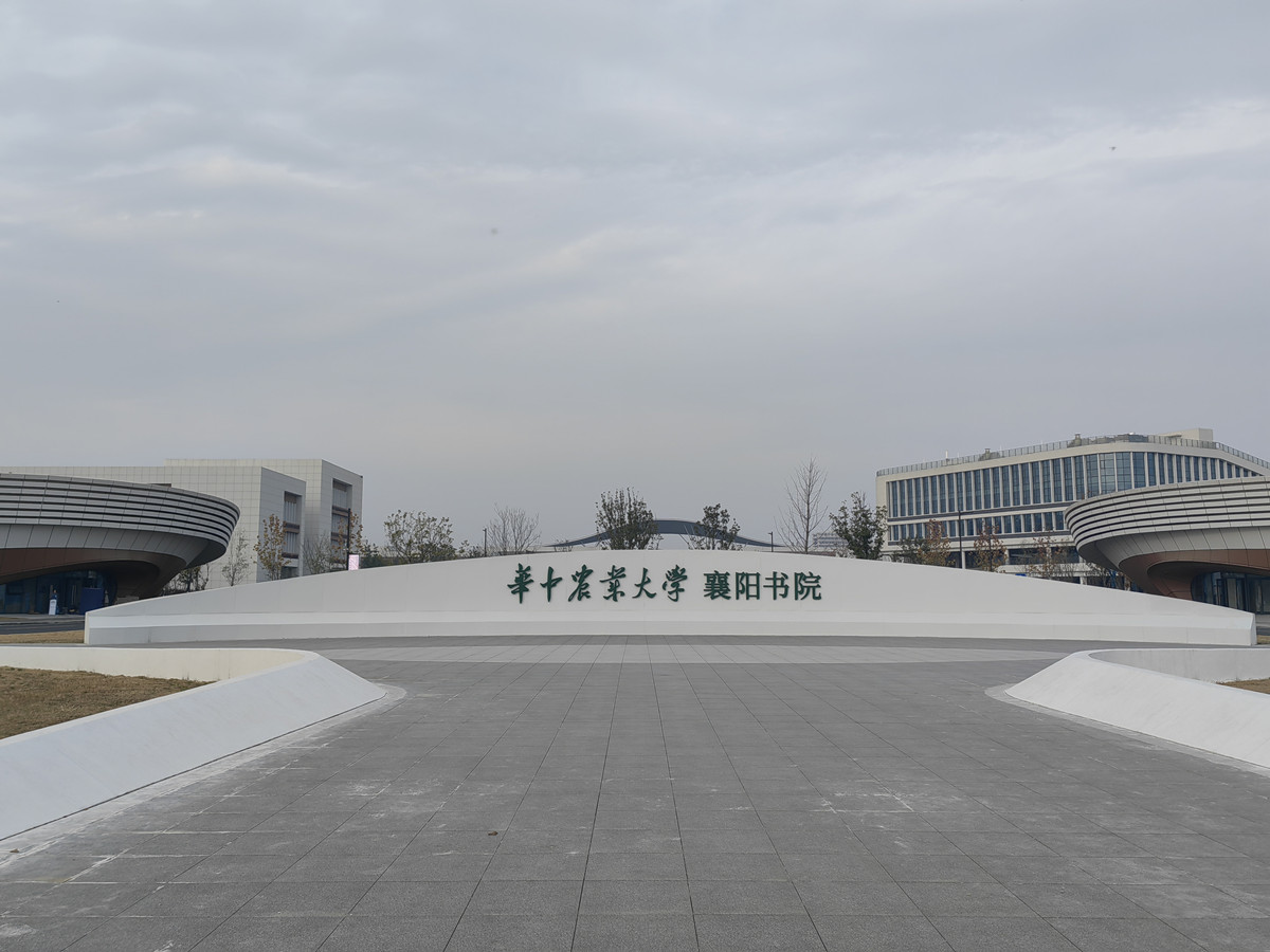 304am�������Ź���(�й�)���޹�˾-Official Website